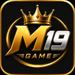 M19 Game